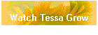 Watch Tessa Grow